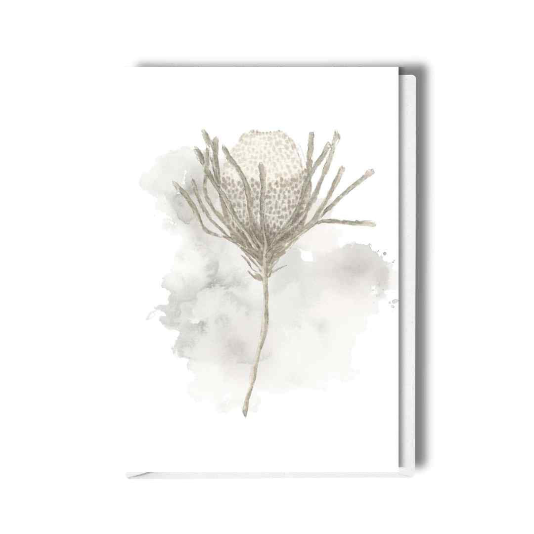 Protea Study - Art Greeting Card