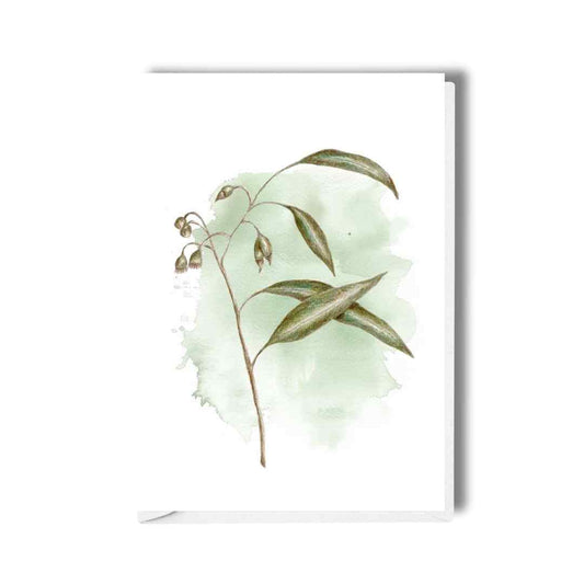 Eucalyptus Study II – Art Greeting Card