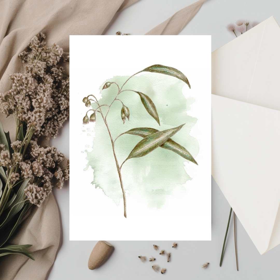 Eucalyptus Study II – Art Greeting Card
