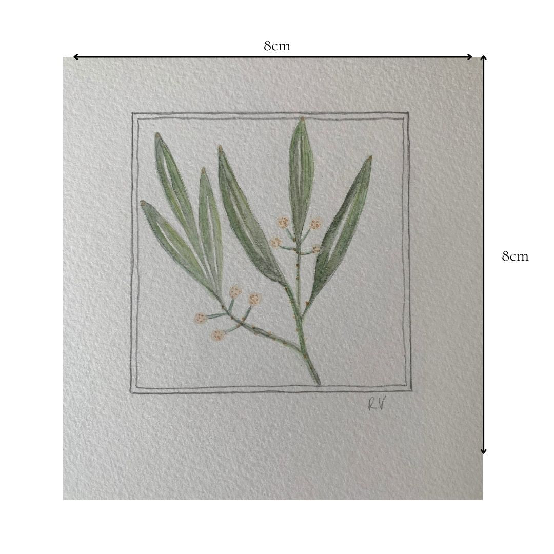Original Miniature Watercolour – Gathered Stem
