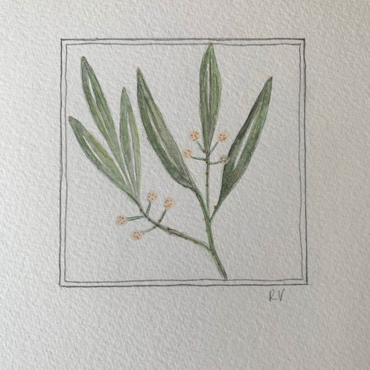 Original Miniature Watercolour – Gathered Stem
