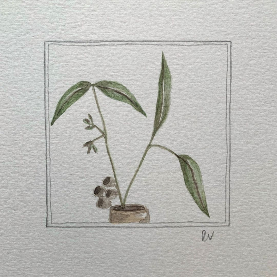 Original Miniature Watercolour – Falling Light
